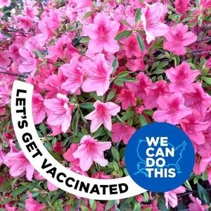 Meet your Posher, Carol